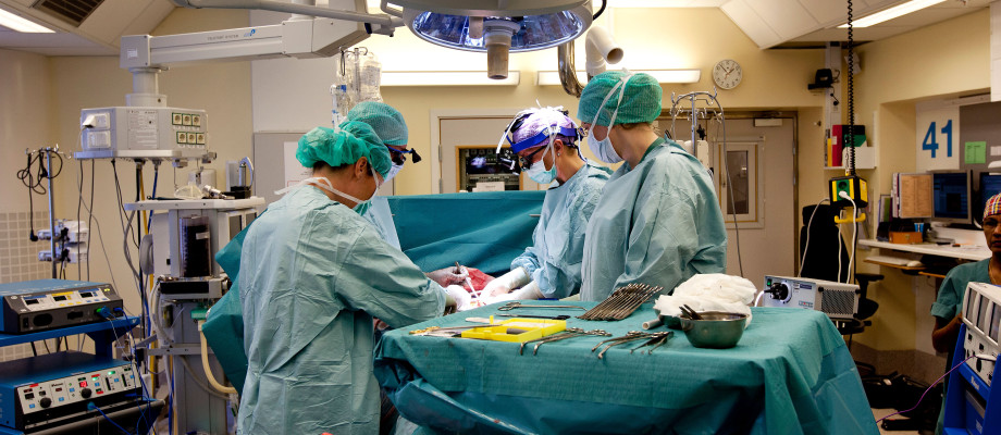 Sex Forskare Rapporterar Om Livmodertransplantationer I Läkartidningen