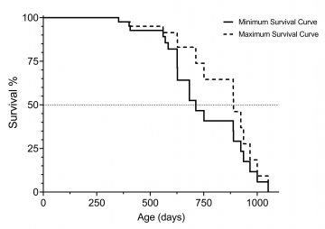 Ett statistiskt diagram, där procenten levande djur mäts på y-axeln och antalet levnadsdagar mäts på x-axeln. En fast linje markerar den minimala överlevnadskurvan, och en streckad linje markerar den maximala överlevnadskurvan. 