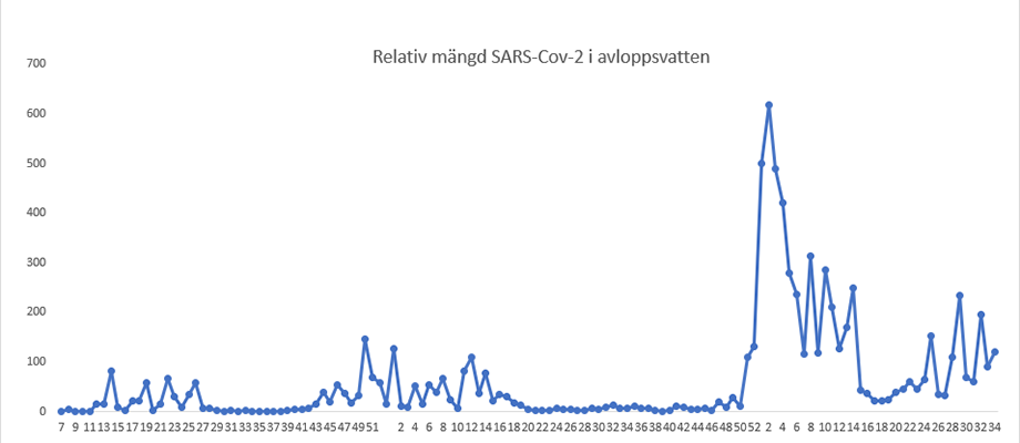 Diagram som visar de relativa mängderna sars-cov-2 i Göteborgs avloppsvatten från februari 2020 (vecka 7). Veckonummer på X-axeln.